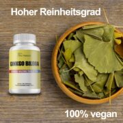 Wissenswertes zu Ginkgo Biloba 365 Tabletten Ginkgo Biloba 6000mg Konzentration Ginko Gingo Gingko – Vegan
