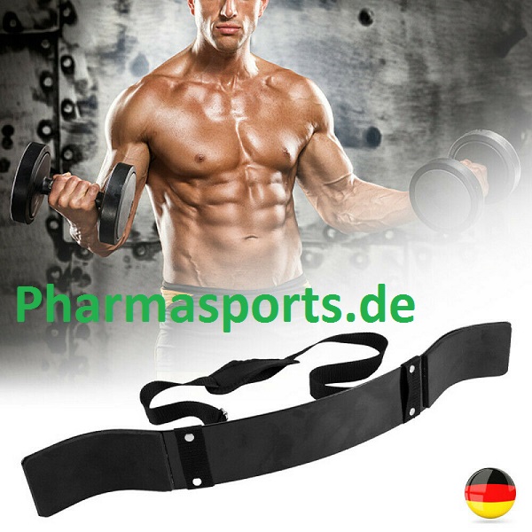 Hammer Curls für einen starken Bizeps