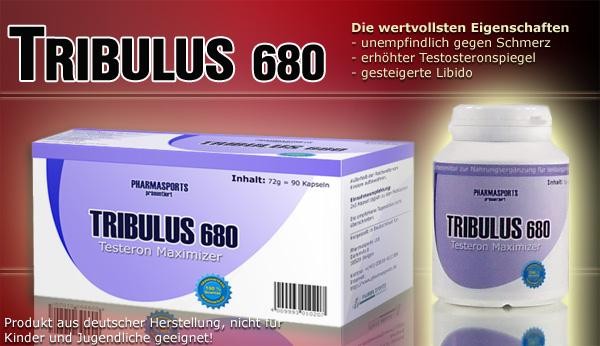 Durch Tribulus Terrestris zum Muskelaufbau