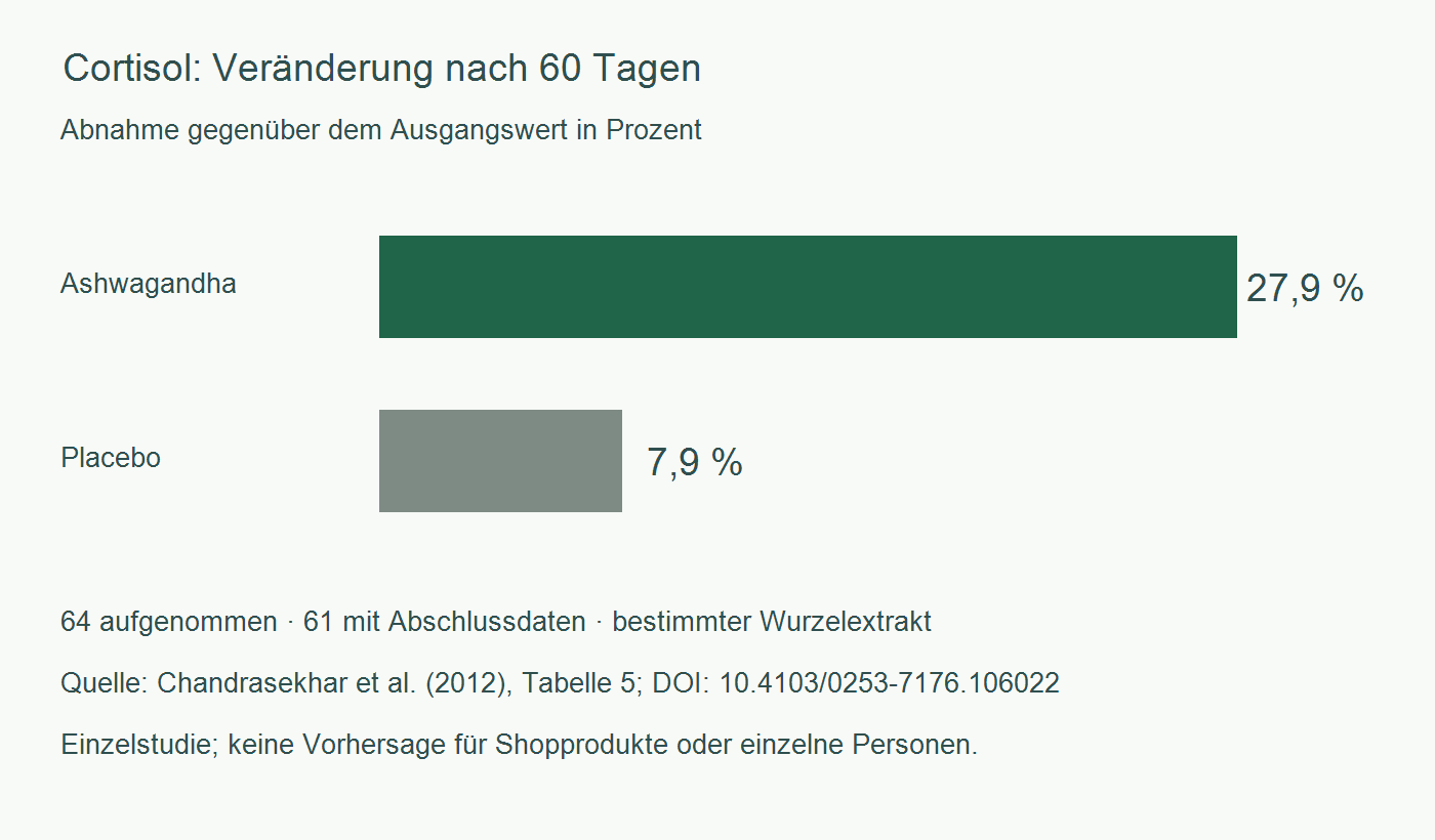 Cortisol-Abnahme nach 60 Tagen: 27,9 Prozent mit untersuchtem Ashwagandha-Extrakt und 7,9 Prozent mit Placebo