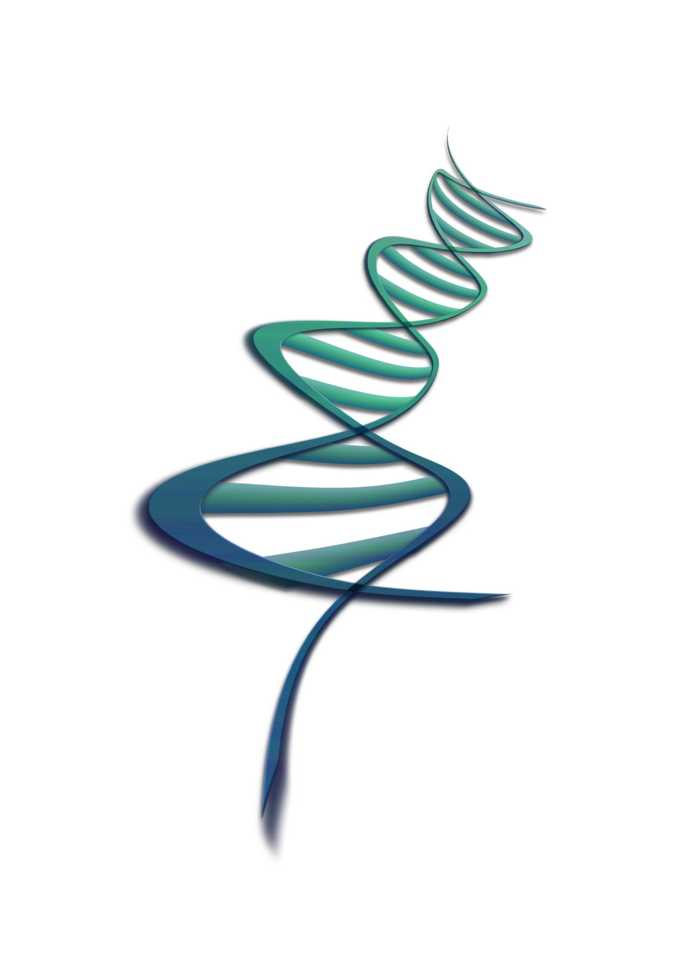 8EA – 8 essentielle Aminosäuren im optimalen Verhältnis zueinander