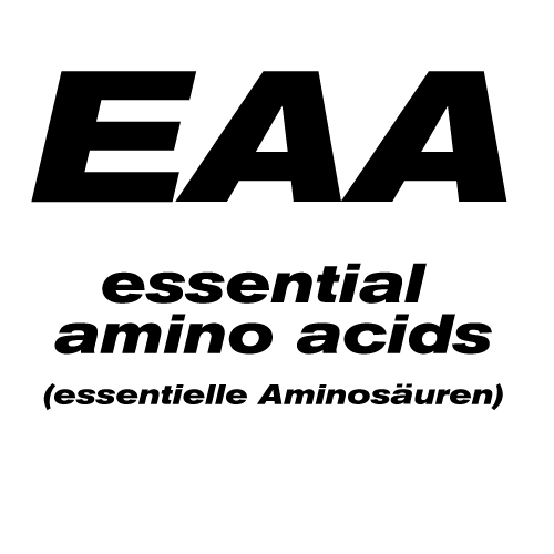 EAA – essentielle Aminosäuren – EAA’s