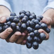 OPC - Weintraubenkernextrakt immer beliebter unter ernährungsbewussten Anwendern